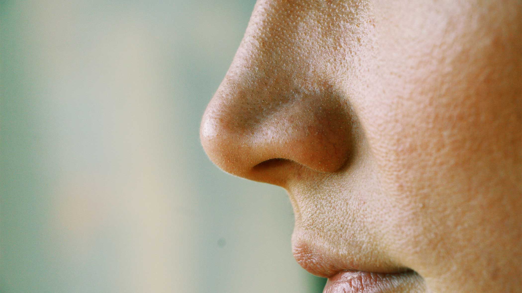 Long-term cocaine use causes a hole in the cartilage between the nostrils
