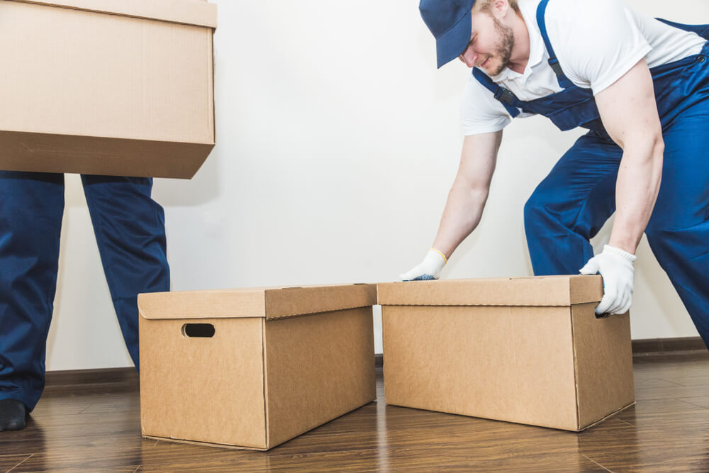 Professional Movers New Rochelle